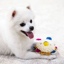 강아지 장난감 인형 터그 애견용품 삑삑이 바스락 _ 301998EA, 사자+별똥별(랜덤), 본상품선택