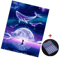 MJS 보석십자수 캔버스형 50 x 40 cm DIY 세트 비즈함 증정, 고래와 밤하늘