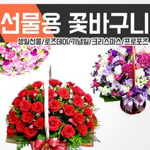 [젠틀맨플라워] /꽃바구니/옵션가NO/전국최저가/전국3시간이내당일발송/전국꽃배달서비스/화이, 꽃바구니선택:14.가을을남기고간사랑