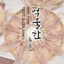 제주옥돔 동문재래시장 반건조 옥두어(백옥돔 흑옥돔 실어리 등) 중 2kg 10마리, 통고등어(노르웨이산)한마리