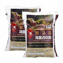 소엽풍란 만세선인장 분갈이 대엽풍란 호접란 석곡 동양란 분갈이