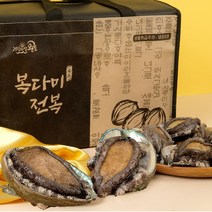 싱싱해 완도 활 전복 선물세트, 1box, 4호 (중대)12-13미 1kg