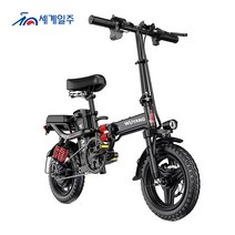 세계일주 접이식 전기자전거 350W 48V 40A 160km전동 접이식 배달용 출퇴근 경량형 CK666