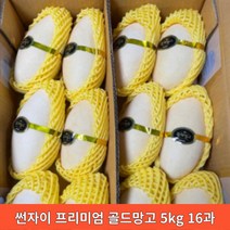 골드망고 썬자이 프리미엄 망고 310g내외, 6개