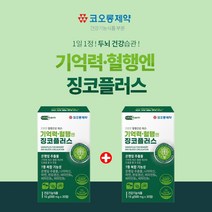 기억력 감퇴 뇌에 좋은 뇌혈관 집중력 영양제 혈관청소 징코플러스 은행잎추출물 징코빌로바 뇌 기능 생각 활성화 에 좋은 인지력 저하 혈행 개선 플라보놀배당체 징코 ginko 영양제, 1+1(2개월분), 2개