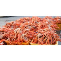 [ 선주직송 ] 연지홍게 포항 구룡포 홍게 자숙 프리미엄 5kg [ 당일조업 당일발송 ], 5kg x 1개