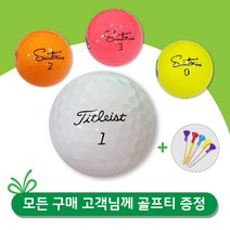 타이틀리스트 A+급30알 골프 로스트볼, 흰색, A+