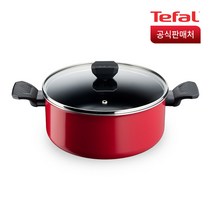 [KT알파쇼핑]테팔 심플앤이지 양수냄비 24cm, 상세페이지참조, 테팔 심플앤이지 양수냄비24cm