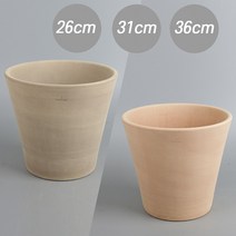 식물교감 이태리토분 디그리아 에트나 26호, 받침포함, 에트나 볼케이노 색상