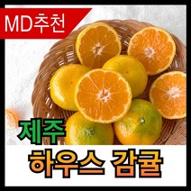 하우스 감귤 제주 하우스감귤 하우스귤 소과 중과 제주도 귤로장생 제주도귤 농장 농장직송, 2.5kg(중과), 1개