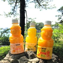 굿소일프레시 제주향 한라봉 천혜향 청귤 착즙 주스 8병세트 3종택1, 감귤한라봉주스_330ml_8병