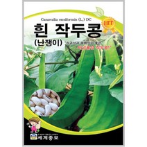 백 작두콩 500g 종자 씨앗 작두콩 키우기 채소 텃밭키우기 대포장 큰포장 벌크