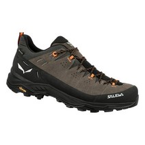 [국내 매장판] SALEWA 남성 고어텍스 알파인 트레이너 2 O2TG901BUNK 297044