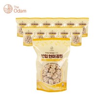 더오담 한입 현미 강정 100g * 12봉지 (한박스)