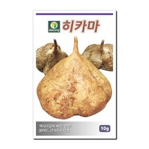 다농 히카마(얌빈) 10g, 1개