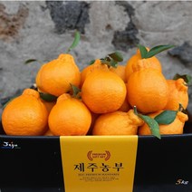 [제주농부] 산지직송 고당도 제주 한라봉, 꼬마한라봉 9kg