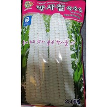 찰옥수수씨앗/ 박사찰옥수수2500립/고향찰옥수수 2000립, 고향찰옥수수2000립