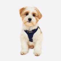 요크셔테리어 개가슴줄 미니핀 애견하네스 네이비, 상세페이지 참조, 사이즈_L