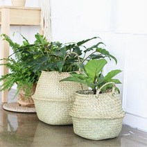 조화 장식 카페 인테리어 해초 라탄 바구니 화분 벽조경 원룸꾸미기 데코레이션 통로 사장실, 1. 16X14cm