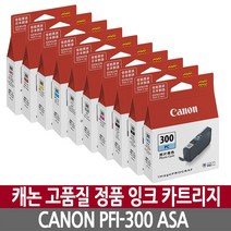 캐논 PFI-300PBK ASA 정품잉크, 포토블랙, 1개