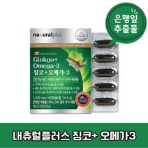 내츄럴플러스 징코 + 오메가3 은행잎추출물 대두레시틴 중장년층 혈액순환 74.4g, 60캡슐×1개