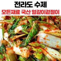 국내산 전라도 김치 얼갈이겉절이 배추겉절이 얼갈이 1kg 2kg 3kg, 얼갈이겉절이_1kg