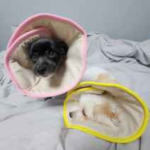 PETCA 반려동물 소프트 경량 쿠션 넥카라, 핑크