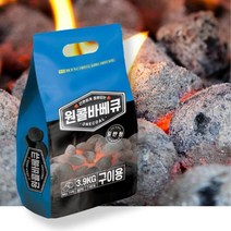 캠핑 코코넛야자숯 야자탄 3.9kg 연료 구이용 오래타는 캠핑용품 야자수, 원콜일반형5.4k 1P