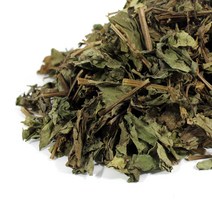 숲으로허브 국산 삼백초 300g, 1개