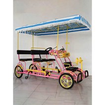 사륜 관광 자전거 2인 4인승 3인 다인 2인 페달 관광, 옵션 - 더블 행 그린