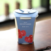 에코컵가든 봉선화 키우기 홈가드닝 꽃 씨앗 기르기 화분 세트