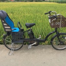 일본 Panasonic 파나소닉 전기 자전거 전동 킥보드 배달 운동 패달 겸용, 베이지