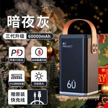 캠핑용배터리 캠핑 파워뱅크 보조 차박 밧데리 고속충전 노트북 100000mAh 220V, B 60000mAh