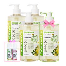 트웬티케이 약산성 샴푸 EWG그린성분 99.25% 저자극 인증완료, 선택6)