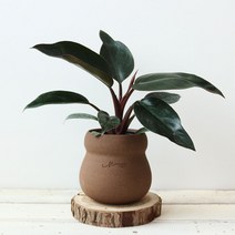 마마스스튜디오 수제토분 브라운빈티지 넛츠팟