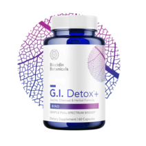 바이오시딘 지아이 디톡스 60캡슐 G.I Detox, 1통