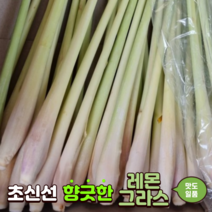 레몬그라스 Lemongrass 100g 1kg 똠얌꿍 허브 베트남 채소 Hoa mai SA TUOI XA, 1개