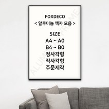 폭스데코 알루미늄 액자 모음, 블랙