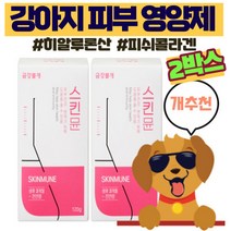 강아지 피부 영양제 곰팡이성 피부병 피부염 습진 애견 피부 피모 영양제 강아지 아토피 피부케어 반려견 피부 피모 강아지 털빠짐 영양제 뉴트리션 트릿 금강불개, 2개, 피부+피모