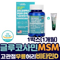 무릎 허리 고관절 통증 비타민D 엠에스엠 글루코사민 미국산 MSM 글루코사민 초록 녹색 입 홍합 NAG 영양제 관절 연골 오스테오 뼈 건강 n아세틸 아세틸기 파워 조인트 대퇴 골반