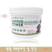 치와와 강아지 장건강 면역강화 종합영양제 피로회복