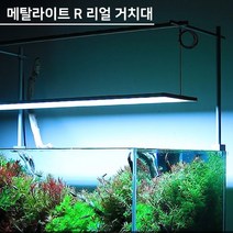가성비 좋은 메탈라이트900 중 인기 상품 소개
