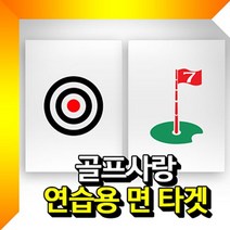 면타겟(중형) 골프타겟 골프연습용타겟 골프과녁타겟 C/G-스포츠/레저_종합+DSsn221314EA, DS 깃발