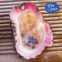 [남해바다] 돌멍게 1kg, 없음, 1개