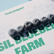 국산 생블루베리 생과 농장직영 당일수확 프리미엄 블루베리 600g, 중(14~16mm)