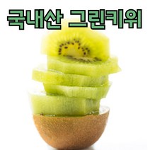 국내산 고당도 골드키위 그린키위 중과 대과 특대과 2kg 5kg, 국산 그린키위 2kg 대 20~22개
