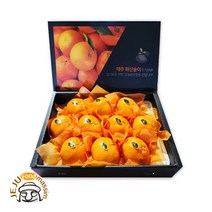 제주 화산송이 레드향 3kg (선물용 7-15과 실중량), 단품