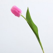 27리빙 기분전환 생화 같은 조화, 튤립 핑크 2송이