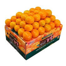 비가림 타이벡 감귤 5kg S크기 밀감 싱싱한 제주감귤