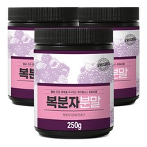 케이웰니스 국내산 복분자가루 250g x 3, 3개, 단품